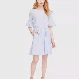 ANN TAYLOR Striped Fluted Sleeves Shirtdress Sz Large Easter Vista Blue White